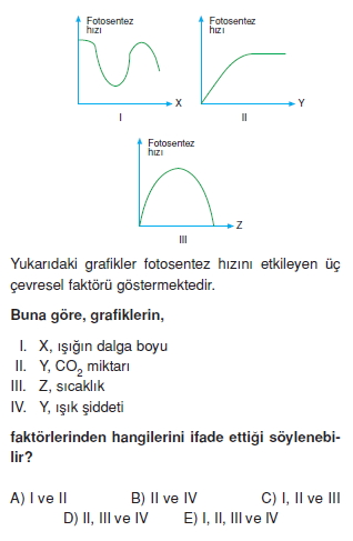 Fotosentezkonutesti3001