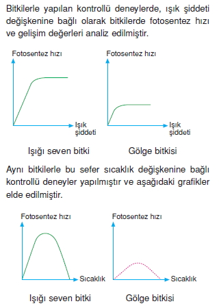 Fotosentezkonutesti3003