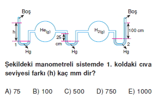 Gazlarkonutesti1009