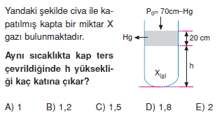 Gazlarkonutesti2004