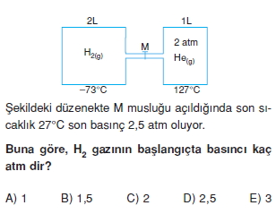 Gazlarkonutesti2009