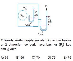 Gazlarkonutesti4009