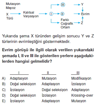 Hayatinbaslangiciileilgiligörüslercanlilardadavraniscözümlütest2003