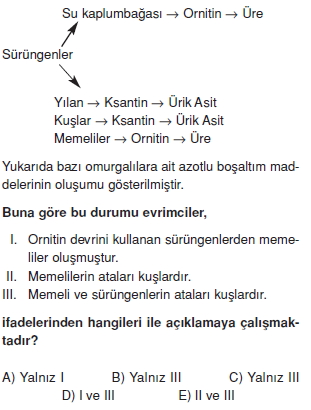 Hayatinbaslangiciileilgiligörüslercanlilardadavraniscözümlütest2005