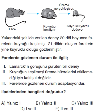 Hayatinbaslangiciileilgiligörüslercanlilardadavraniskonutesti4003