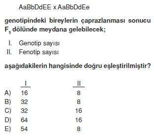 Kalitim Cozumlu Test 1 Bilgicik Com Bilgicik Com