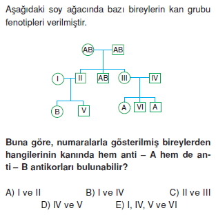 Kalitim Cozumlu Test 1 Bilgicik Com Bilgicik Com