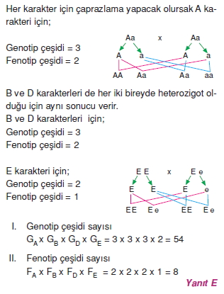 Kalitimcözümler1001