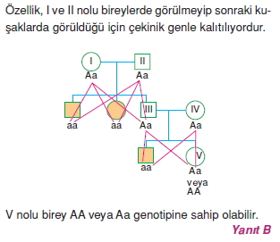 Kalitimcözümler1006