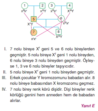 Kalitimcözümler1007