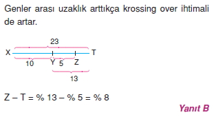 Kalitimcözümler1011