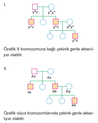 Kalitimcözümler2003