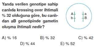 Kalitimcözümlütest1003