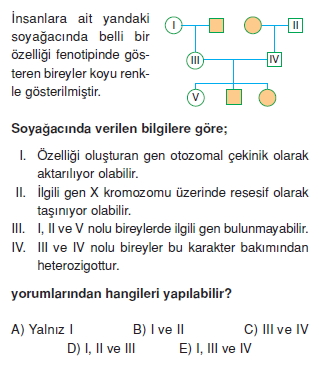 Kalitimcözümlütest2001