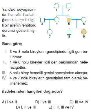 Kalitimcözümlütest2002