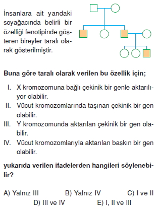 Kalitimcözümlütest2003