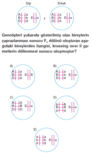 Kalitimcözümlütest2009