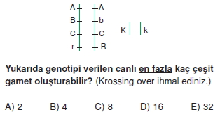 Kalitimkonutesti1002