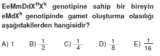 Kalitimkonutesti1010