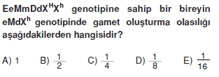 Kalitimkonutesti1010