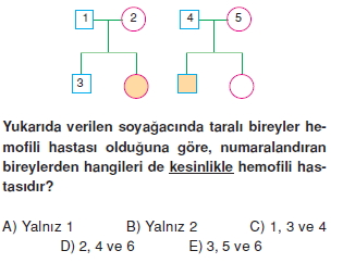 Kalitimkonutesti1011