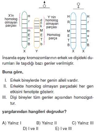 Kalitimkonutesti2002