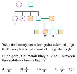 Kalitimkonutesti3001