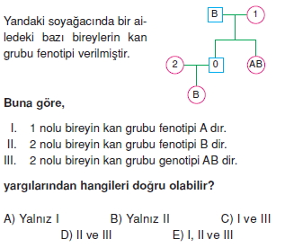 Kalitimkonutesti3005