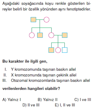 Kalitimkonutesti3007