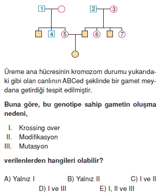 Kalitimkonutesti5008