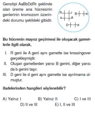 Kalitimkonutesti6001