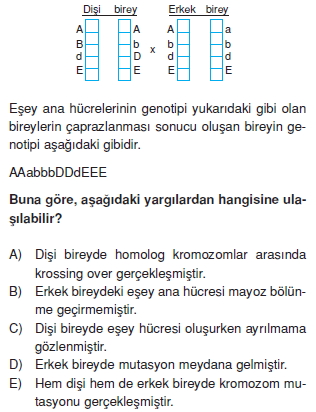 Kalitimkonutesti7004