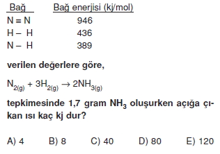 Kimyasaltepkimelerdeenerjikonutesti2007