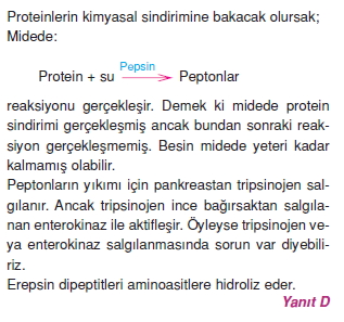 Sindirim Sistemi Cozumlu Test 1 Bilgicik Com Bilgicik Com