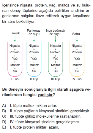 Sindirimsistemicözümlütest1001