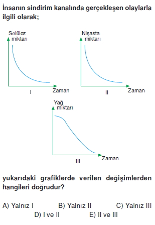 Sindirimsistemicözümlütest1002