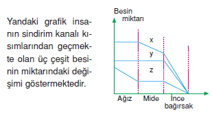 Sindirimsistemicözümlütest1003