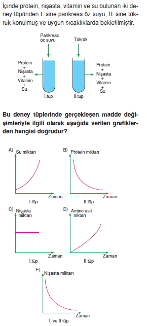 Sindirimsistemicözümlütest2002