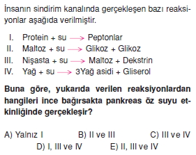 Sindirimsistemicözümlütest2003