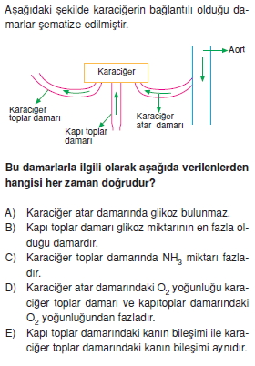 Sindirimsistemicözümlütest2004