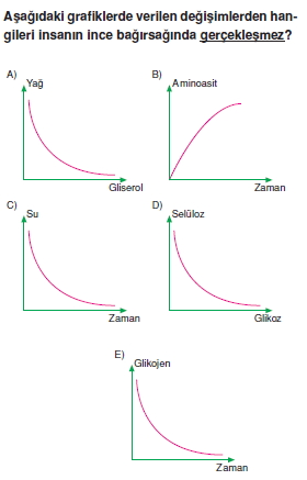 Sindirimsistemicözümlütest2007