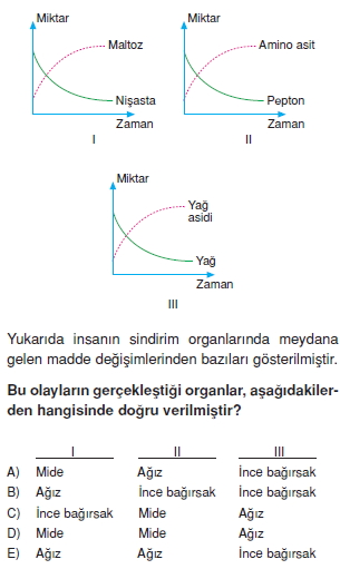 Sindirimsistemikonutesti1001