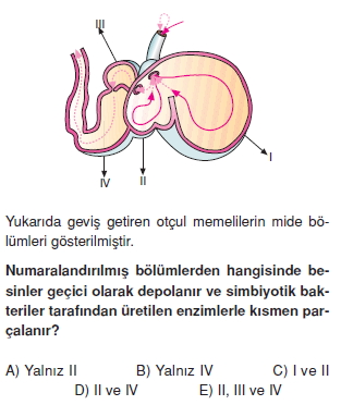 Sindirimsistemikonutesti1003