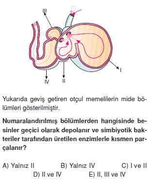 Sindirimsistemikonutesti1003