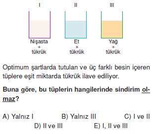 Sindirimsistemikonutesti1004