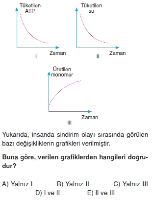 Sindirimsistemikonutesti2004