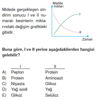 Sindirimsistemikonutesti3003