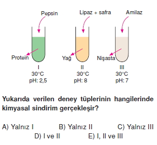 Sindirimsistemikonutesti3004