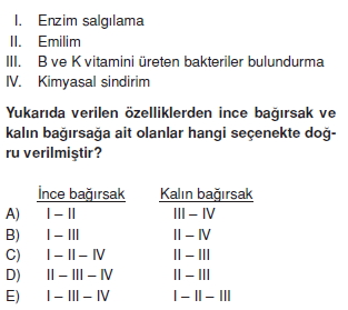 Sindirimsistemikonutesti3005