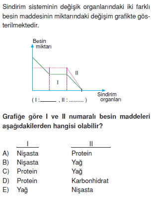 Sindirimsistemikonutesti4004